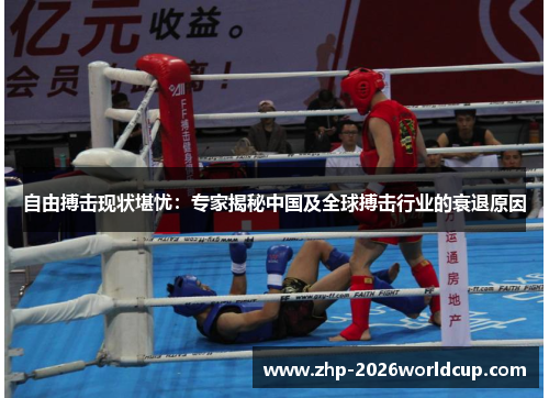 自由搏击现状堪忧:专家揭秘中国及全球搏击行业的衰退原因 自由搏击现状堪忧:专家揭秘中国及全球搏击行业的衰退原因